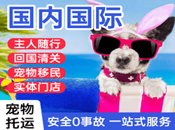 兴凯湖空运地址国际宠物托运 【国